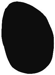 Image of the occurrence